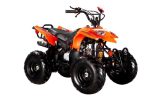 Pioner ATV 110CC