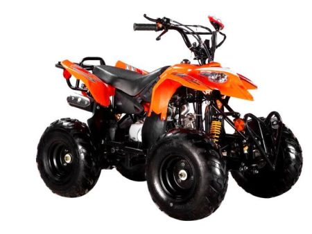 Pioner ATV 110CC