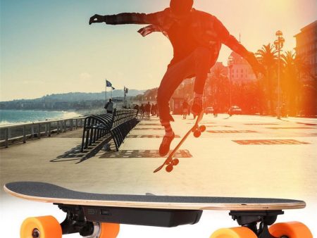 Elektrisk skateboard 250w