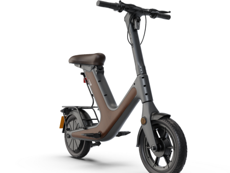 Elektrisk scooter D50 400W