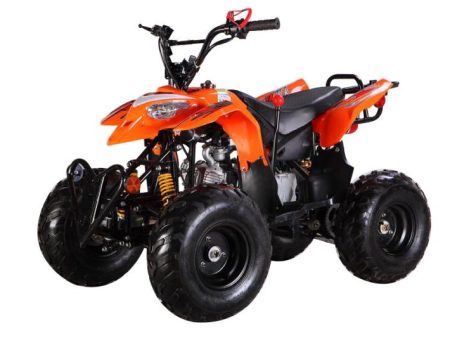 Challenge ATV 110CCBlack Edition