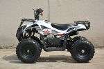 Farmer mini ATV 50cc blue