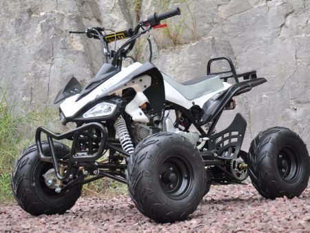 Outback 110cc ATV med revers