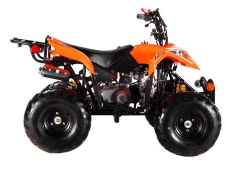 Mancini Pioner ATV 110CC