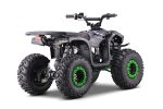 el_atv_1200w_1_2.jpg