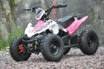 mini_atv_2.jpg