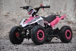 mini_atv_2.jpg