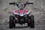 mini_atv_2.jpg